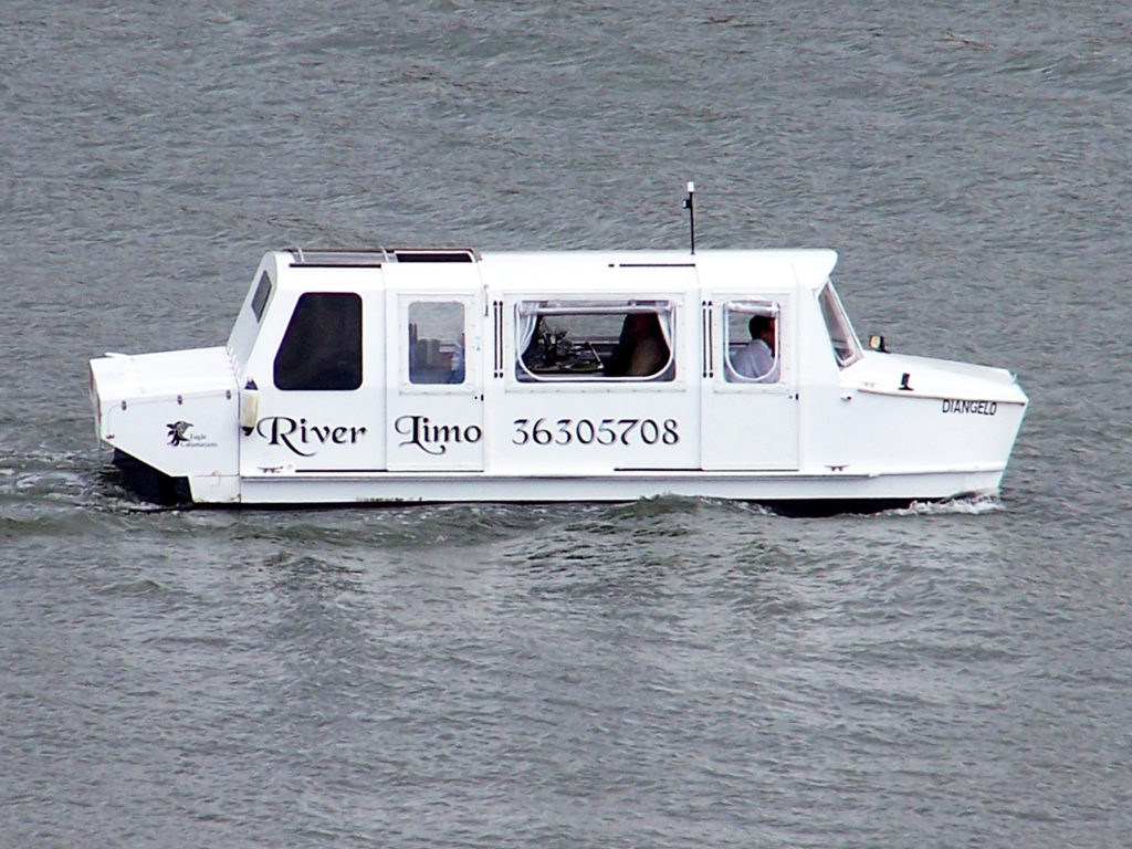 River Limo ~ only seen once!