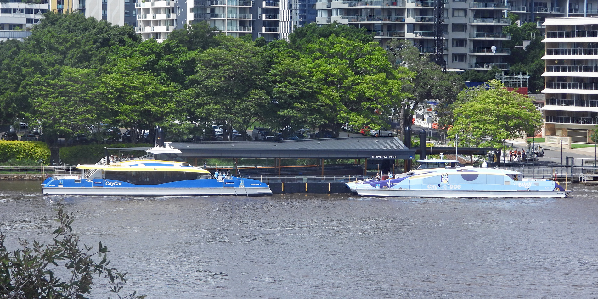 MOWBRAY PARK TERMINAL BACK IN USE ~ 9 Dec 2024